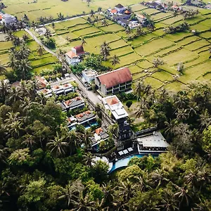 The Ning Indonesia